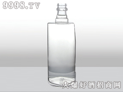 Ÿ߰ײƿСZH-(47) 500ml