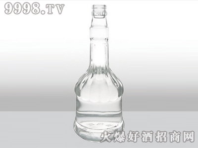 Ÿ߰ײƿƿZH-381 500ml